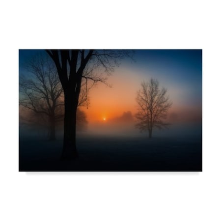 David Dai 'Foggy Sunrise' Canvas Art,30x47
